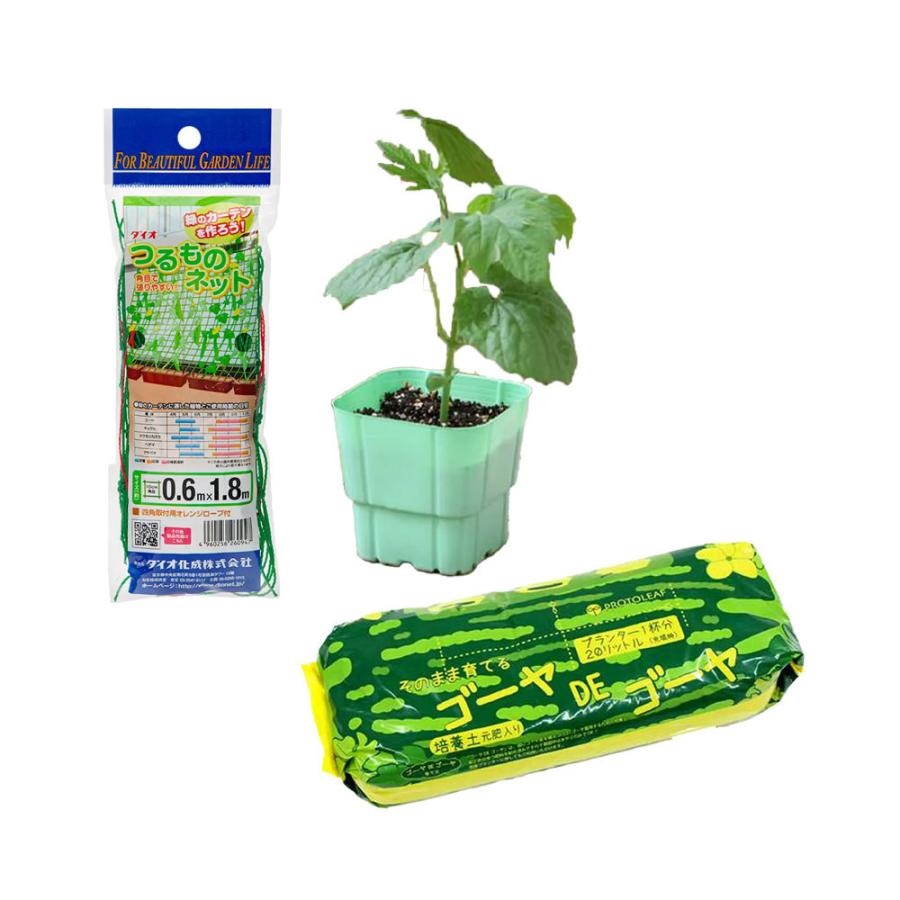 観葉植物 はじめよう 家庭菜園 スーパーゴーヤ栽培セット 緑のカーテン お一人様４点限り 2728 チャーム Charm ヤフー店 通販 Yahoo ショッピング