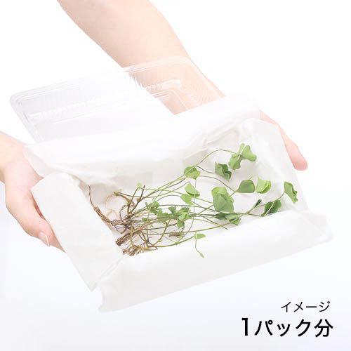 （水草）ベトナムクローバー（水上葉）（無農薬）（３パック分） | チャーム（ペット） | 01