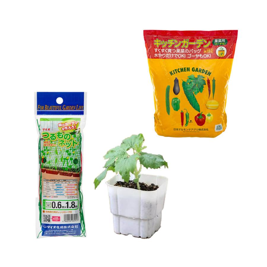 観葉植物 はじめよう 家庭菜園 スーパーゴーヤ 白 栽培セット 培養土１５ｌ 緑のカーテン お一人様２点限り チャーム Charm ヤフー店 通販 Yahoo ショッピング