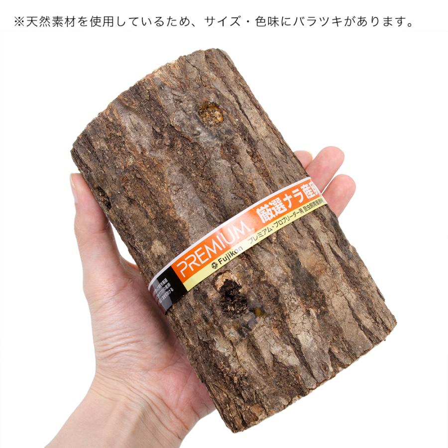 フジコン プレミアム 厳選ナラ産卵材 1本 コナラ 産卵木 クワガタ
