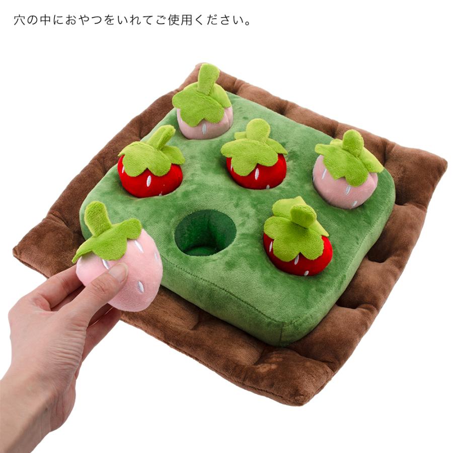 fuu ノーズワーク クッション いちご畑 : チャーム charm ヤフー店