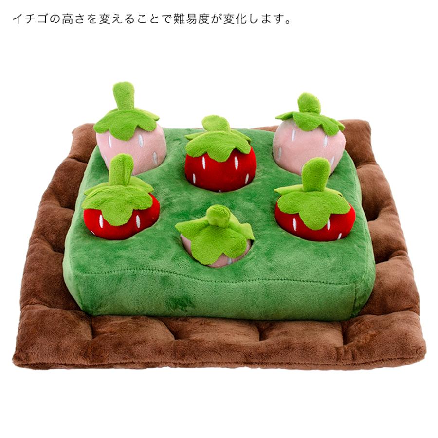 fuu ノーズワーク クッション いちご畑 : チャーム charm ヤフー店