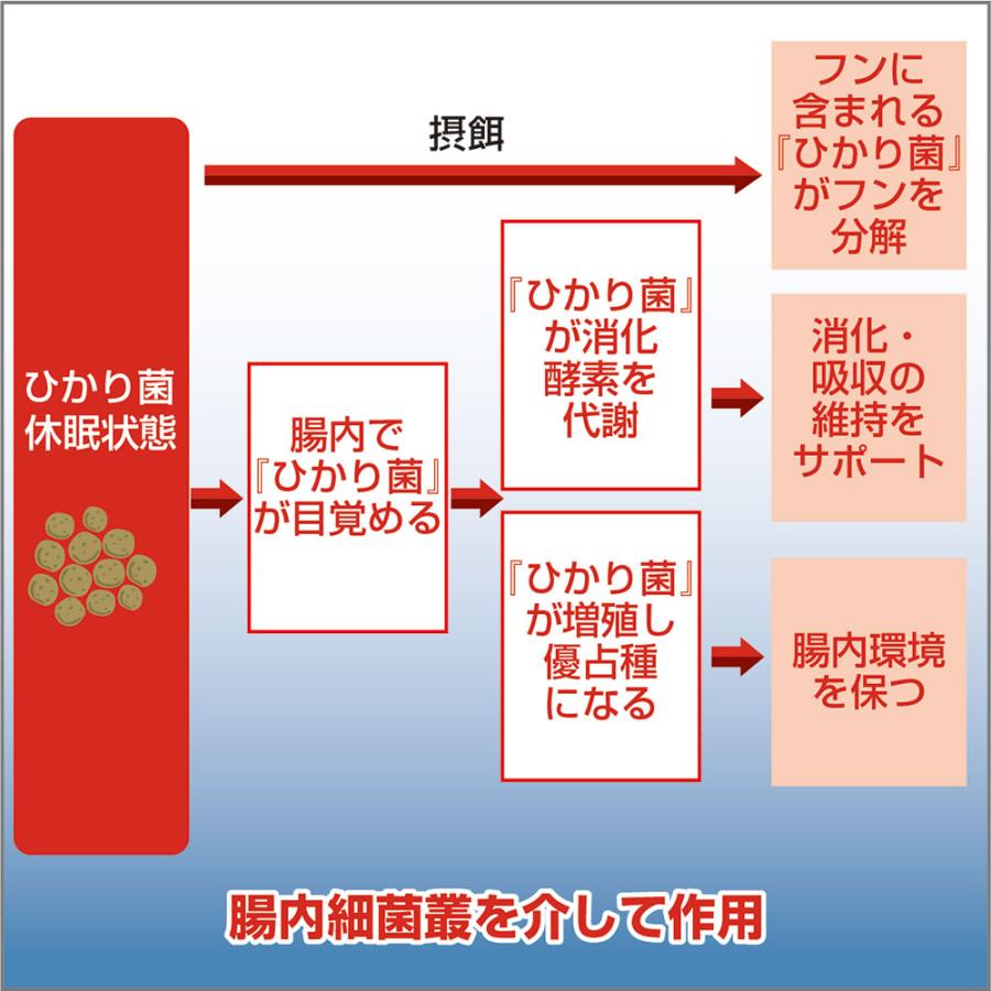 取寄せ商品　キョーリン　咲ひかりＲ　低水温用　浮上　Ｌ　１５ｋｇ　錦鯉　餌　飼料　鯉の餌_4