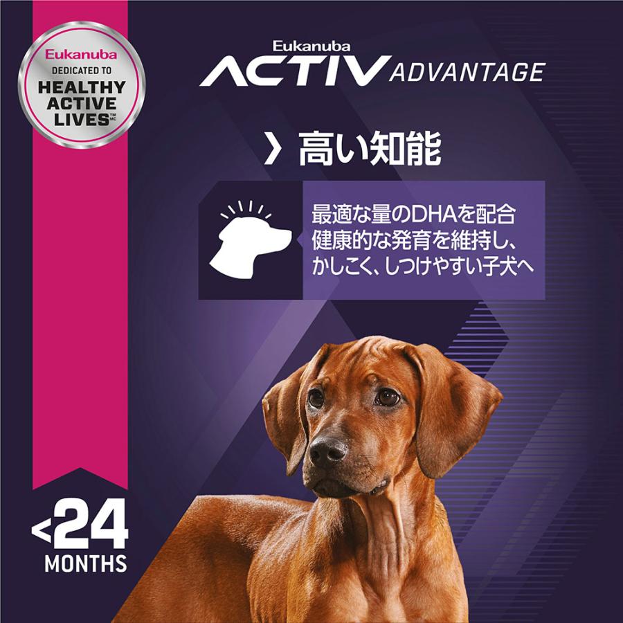 ユカヌバドッグフード ユーカヌバ（Eukanuba） ドッグフード ラージ パピー 7．5kg 子犬