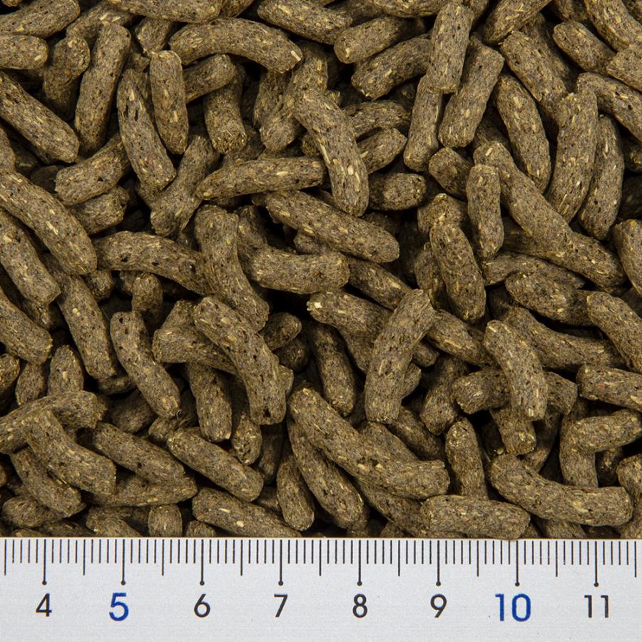 チンチラさんのおやつ　専用 三晃商会 ベジドロップ キャロット 50g おやつ デグー チンチラ