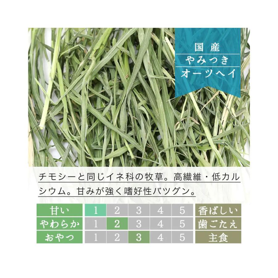 チャーム（charm） イースター チンチラセレクション 600g