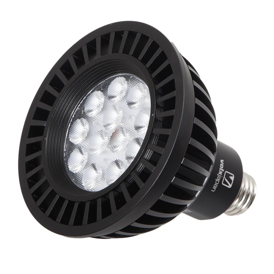 volxjapan（ボルクスジャパン） Grassy LeDio RX122s