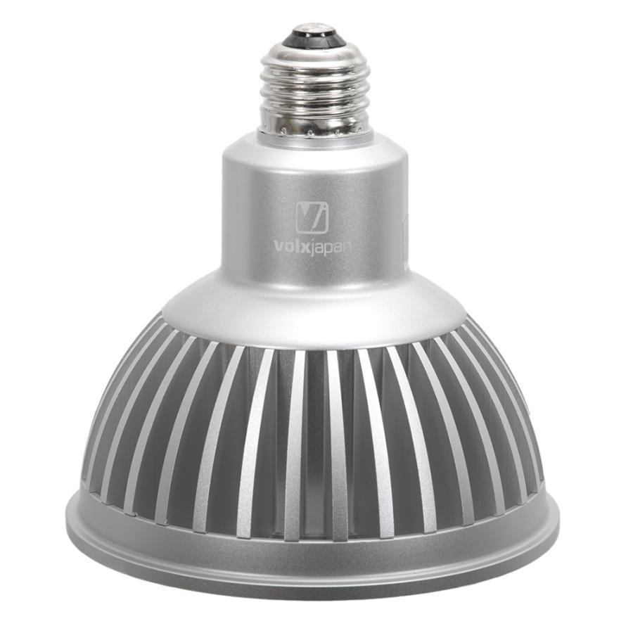 volxjapan（ボルクスジャパン） Grassy LeDio RX122s