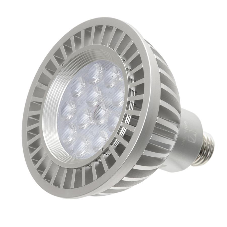 volxjapan（ボルクスジャパン） Grassy LeDio RX122s