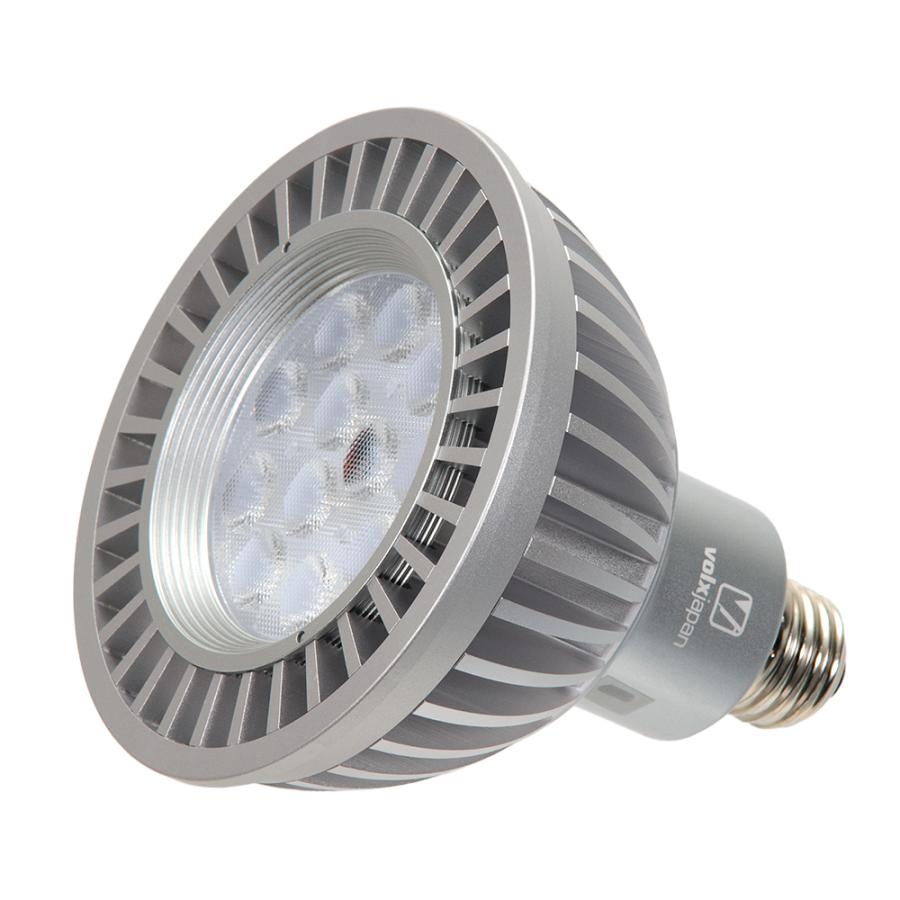 volxjapan（ボルクスジャパン） Grassy LeDio