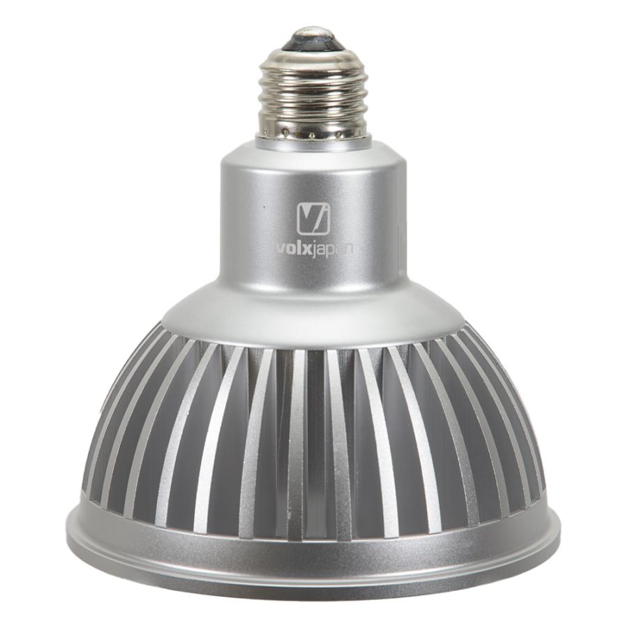 GrassyLeDio RX122C Marine /マリン volxjapan ボルクスジャパン Grassy LeDio