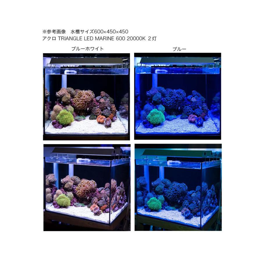 アクロ　ＴＲＩＡＮＧＬＥ　ＬＥＤ　ＭＡＲＩＮＥ　３００　スタンドセット　２００００Ｋ　海水魚　サンゴ　照明　水槽　ライト｜chanet｜03