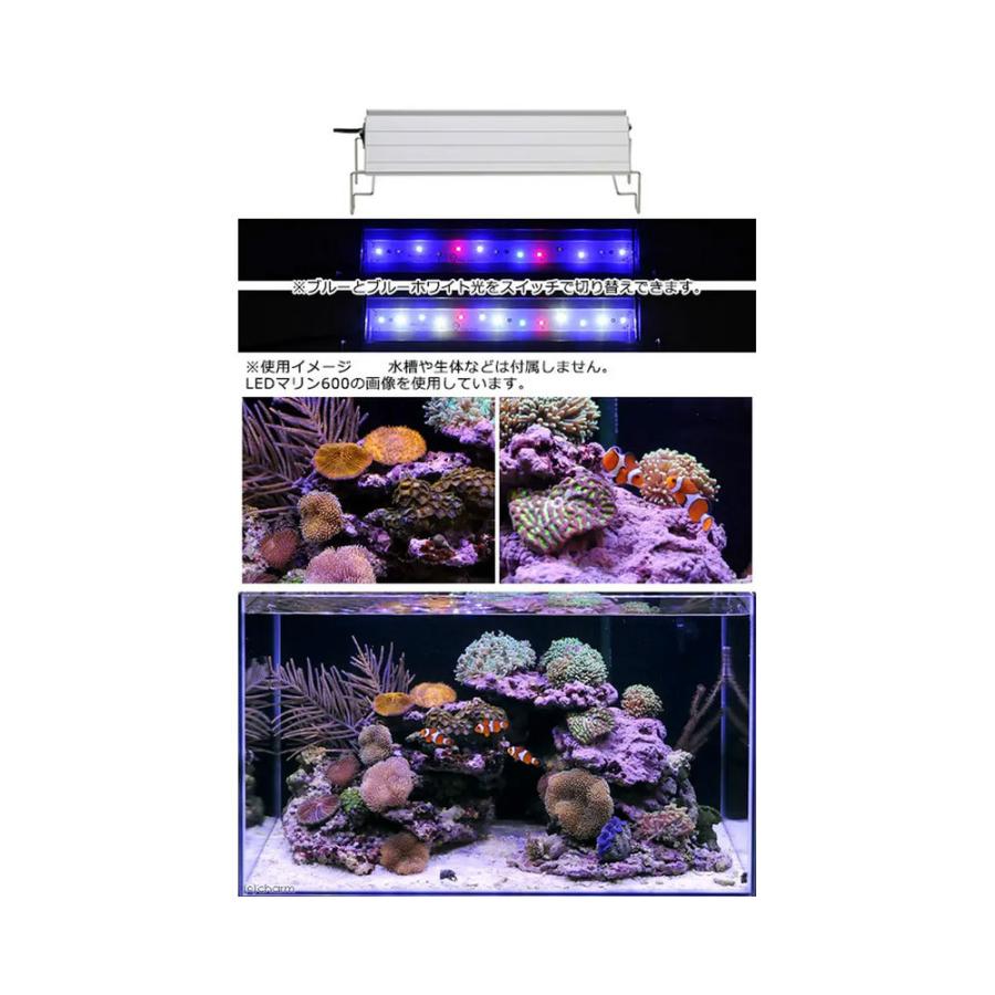 チャーム（charm） アクロ TRIANGLE LED MARINE