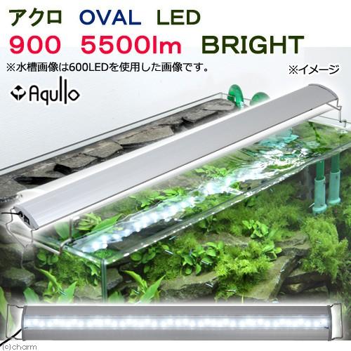 アクロ OVAL 900 LED 大光量！！！ アクロ OVAL LED 900 5500lm BRIGHT 水槽 照明