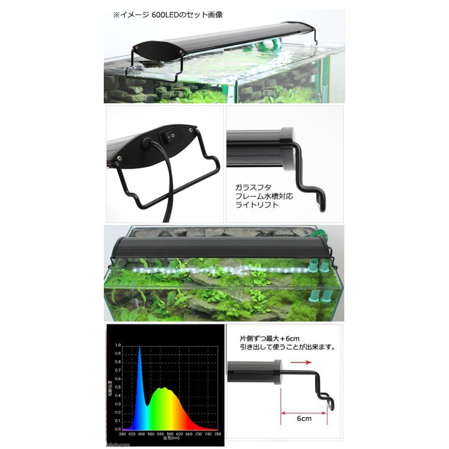 最大71 Offクーポン アクロ ｏｖａｌブラック ｌｅｄ ６００ ３２５０ｌｍ ｂｒｉｇｈｔ 水槽 照明 ライト 熱帯魚 アクアリウム 沖縄別途送料 Discoversvg Com
