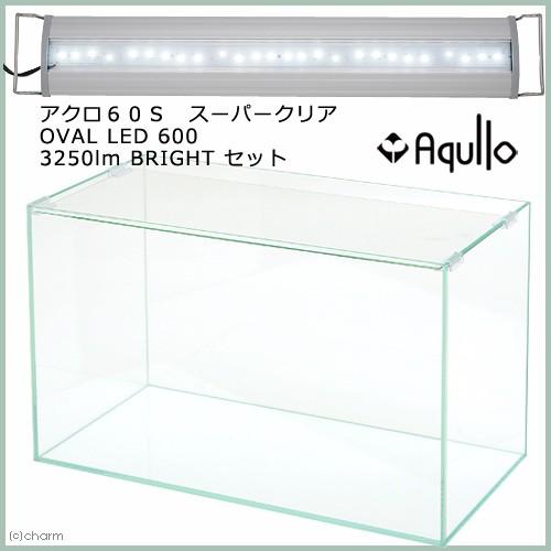 アクロ６０Ｓ　スーパークリア　ＯＶＡＬ　ＬＥＤ　６００　３２５０ｌｍ　ＢＲＩＧＨＴ　セット　お一人様１点限り