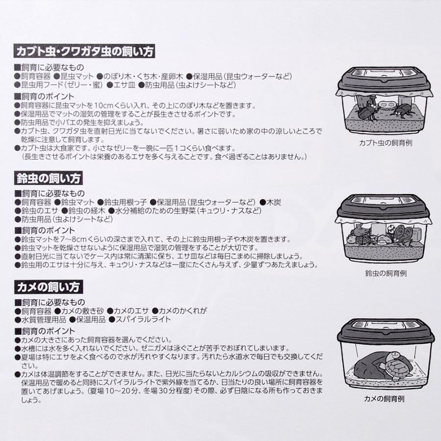 マルカン プラケース ワイドビュー BLACK 小 : チャーム charm