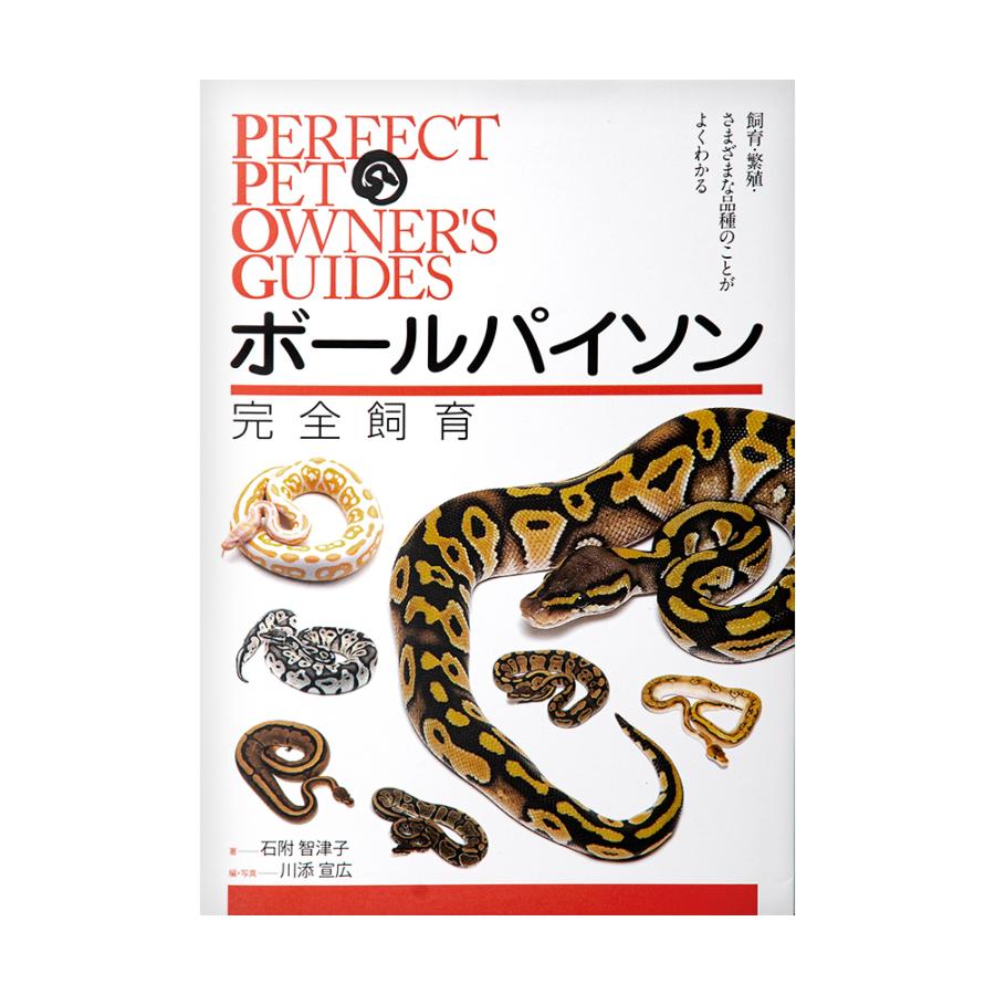 ボールパイソン完全飼育 : チャーム charm ヤフー店 - 通販 - Yahoo 