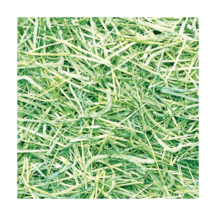 アニマン 食べる牧草 スーパープレミアムチモシー 420g×3