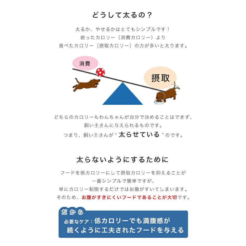 ロイヤルカナン　減量したい中型犬用　ミディアム　ライトウェイトケア　１２ｋｇ　ジップ付　お一人様１点限り｜chanet｜04