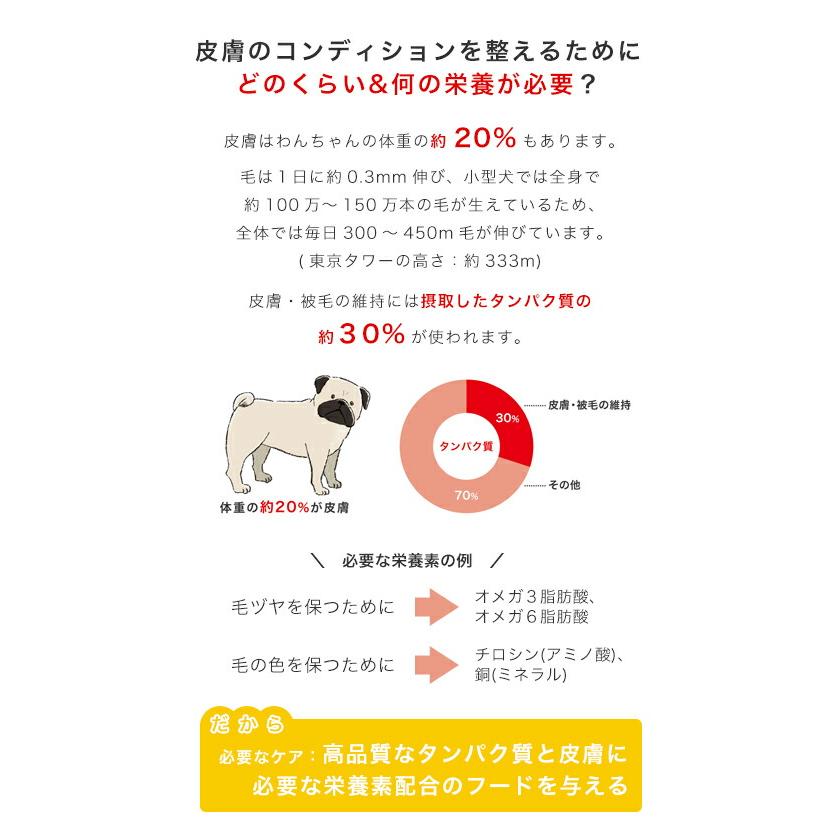 ロイヤルカナン　皮膚の健康を維持したい大型犬用　マキシ　ダーマコンフォート　１２ｋｇ　ジップ付　お一人様１点限り｜chanet｜04