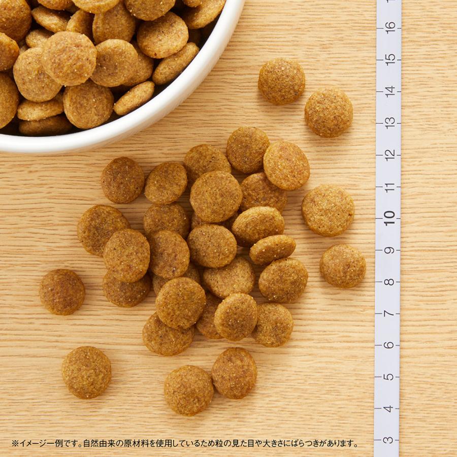 賞味期限間近！ナチュラルチョイス チキン玄米 大型犬 成犬用