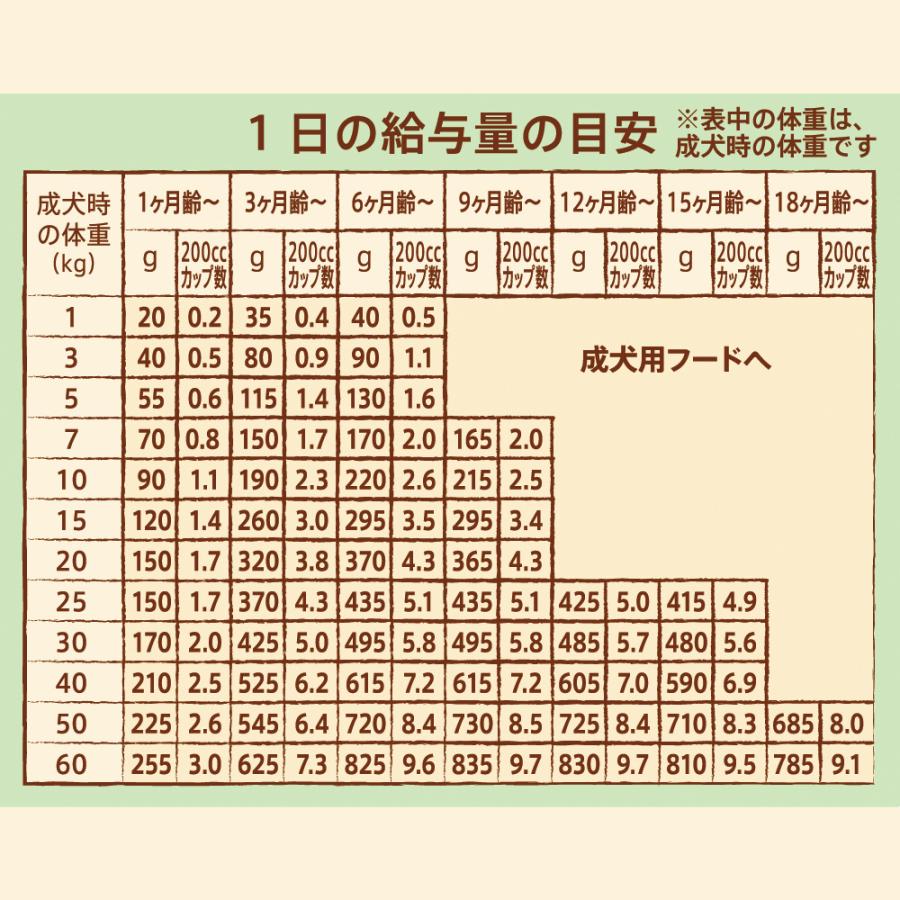 ニュートロ ナチュラルチョイス ラム＆玄米 子犬用 全犬種用 6kg 