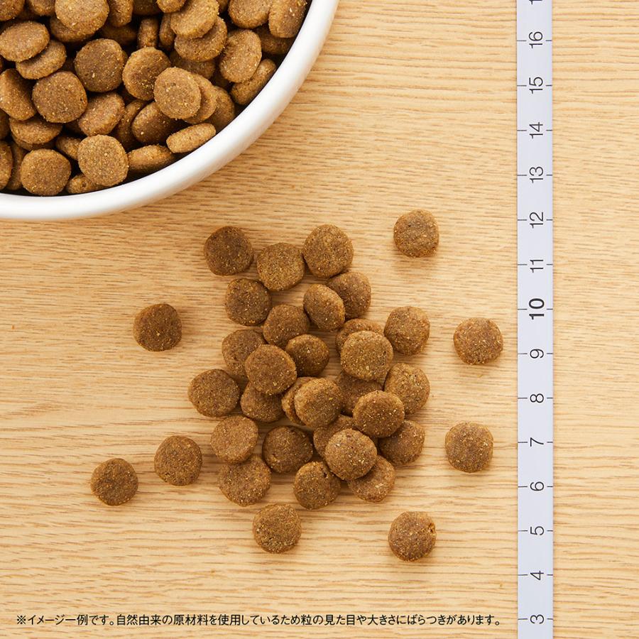 ナチュラルチョイス キトンチキン 室内で暮らす子猫用 【公式通販】
