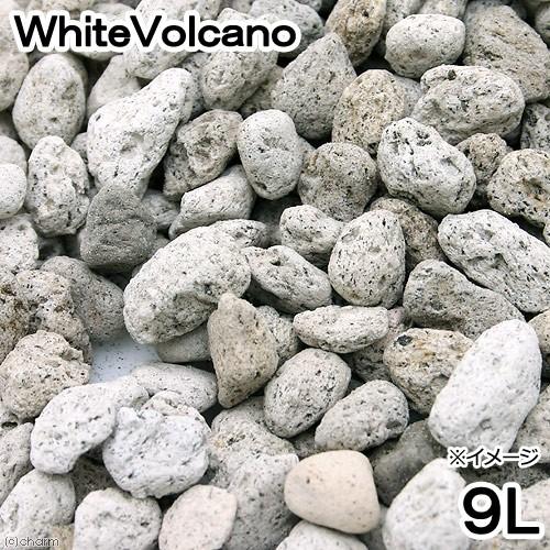 Leaf Corp No．122 WhiteVolcano 9リットル ろ材 鉢