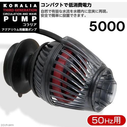 アウトレット品 50Hz コラリア サードジェネレーション5000