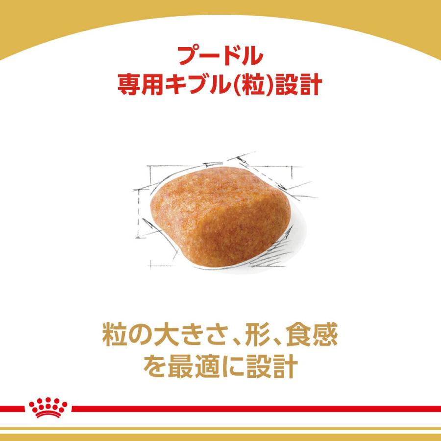 ロイヤルカナン（ROYAL CANIN） プードル 成犬用 3kg×2袋 ジップ付