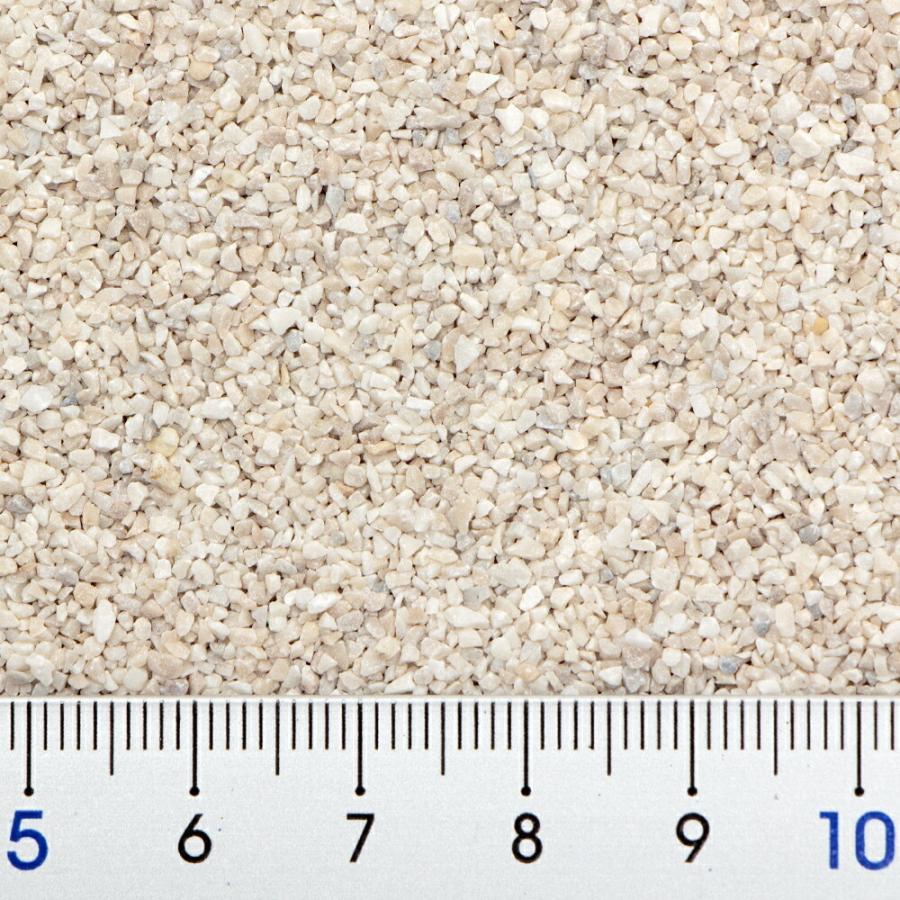 81%以上節約 C.P.Farm 天然サンゴ砂 ♯1 Natural 底砂 coral sand 3kg 海水水槽 レイアウト用品 C.P.Farm 天然サンゴ砂 ♯1 Natural coral sand 3kg 海水水槽 底砂