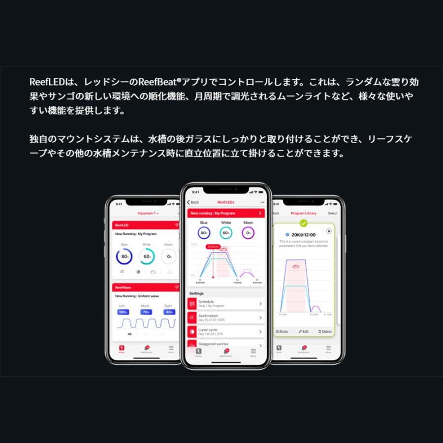 レッドシー 60Hz MAX NANO G2 ペニンシュラセット 黒（旧