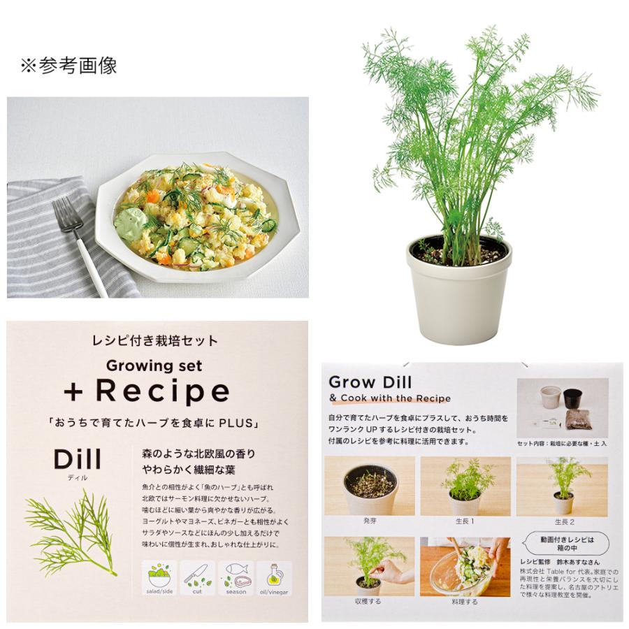 21年春の レシピ付き栽培セット ｒｅｃｉｐｅ ディル Kaninchenseele De