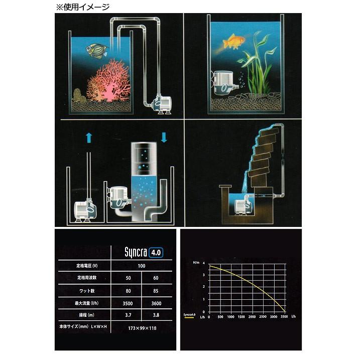 □ＳＩＣＣＥ　シッチェ 水陸両用ポンプ　シンクラサイレント４．０　流量５８リットル／分　６０Ｈｚ沖縄別途送料 □ＳＩＣＣＥ　シッチェ 水陸両用ポンプ　シンクラサイレント４．０　流量５８リットル／分　６０Ｈｚ沖縄別途送料 LWH1130387335(10600円)