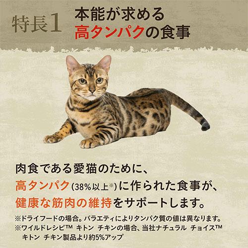 ニュートロ　猫　キャット　ワイルド　レシピ　アダルト　白身魚　成猫用　２ｋｇ×２袋　＋　ワイルド　レシピ　パウチ　おまけ付 | WILD RECIPE | 01