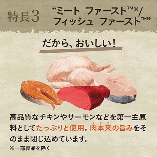 ニュートロ　猫　キャット　ワイルド　レシピ　アダルト　白身魚　成猫用　２ｋｇ×２袋　＋　ワイルド　レシピ　パウチ　おまけ付 | WILD RECIPE | 03