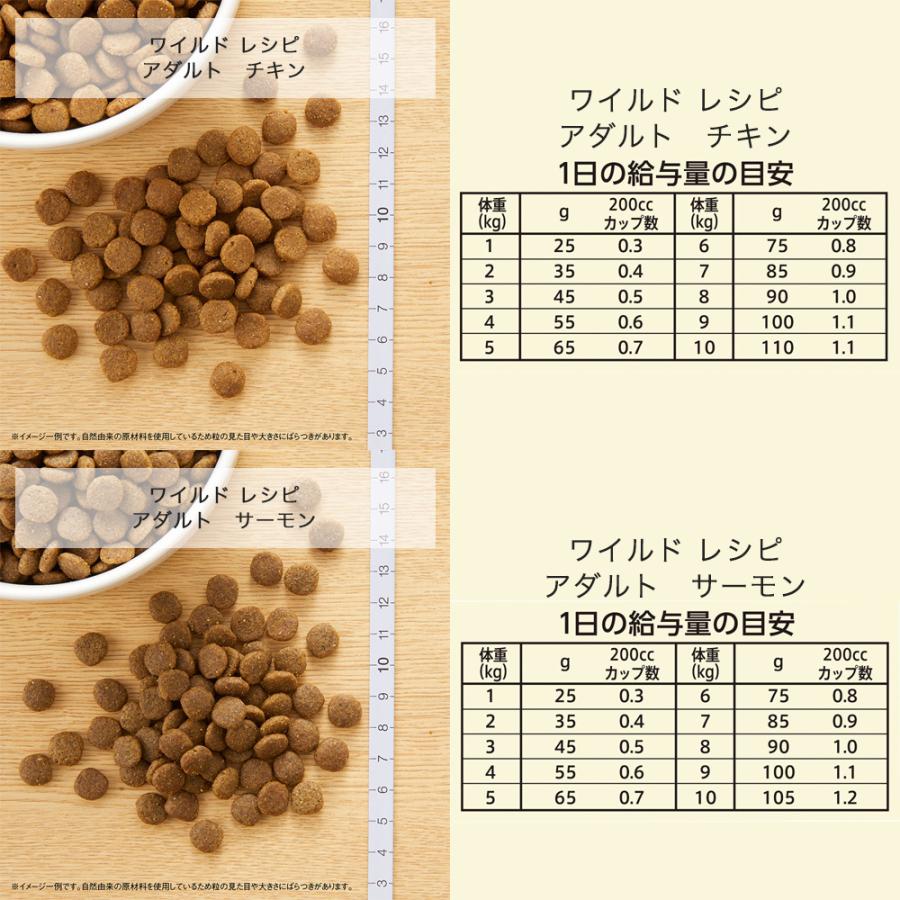 WILD RECIPE ニュートロ 猫 キャット ワイルドレシピ アダルト 1kg