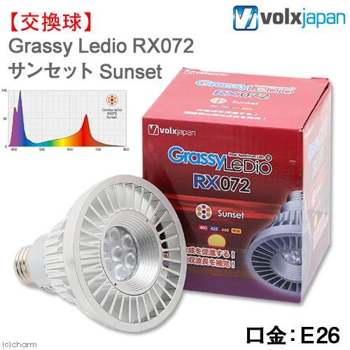 高い素材 ボルクスジャパン ライトセット 魚用品 水草