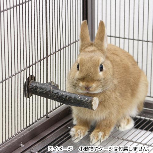 Leaf Corp かじり木 天然素材の固定式かじり木 国産なしの木 おもちゃ
