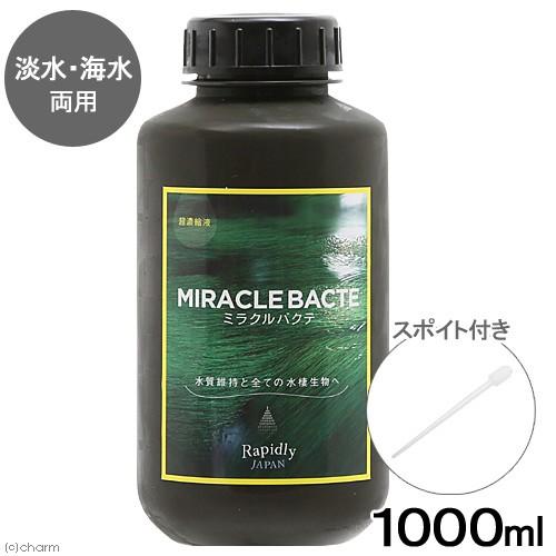［大人気商品］高濃度バクテリアリキッド1L ×5本　 ホログラムステッカー付 ミラクルバクテ 超濃縮液 1000mL : チャーム charm ヤフー店