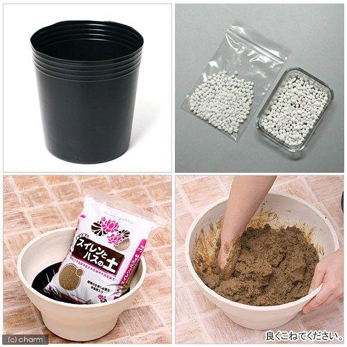 ハス植え替えセット ビニールポット１０号 スピード対応 全国送料無料 スイレンとハスの土 固形栄養素