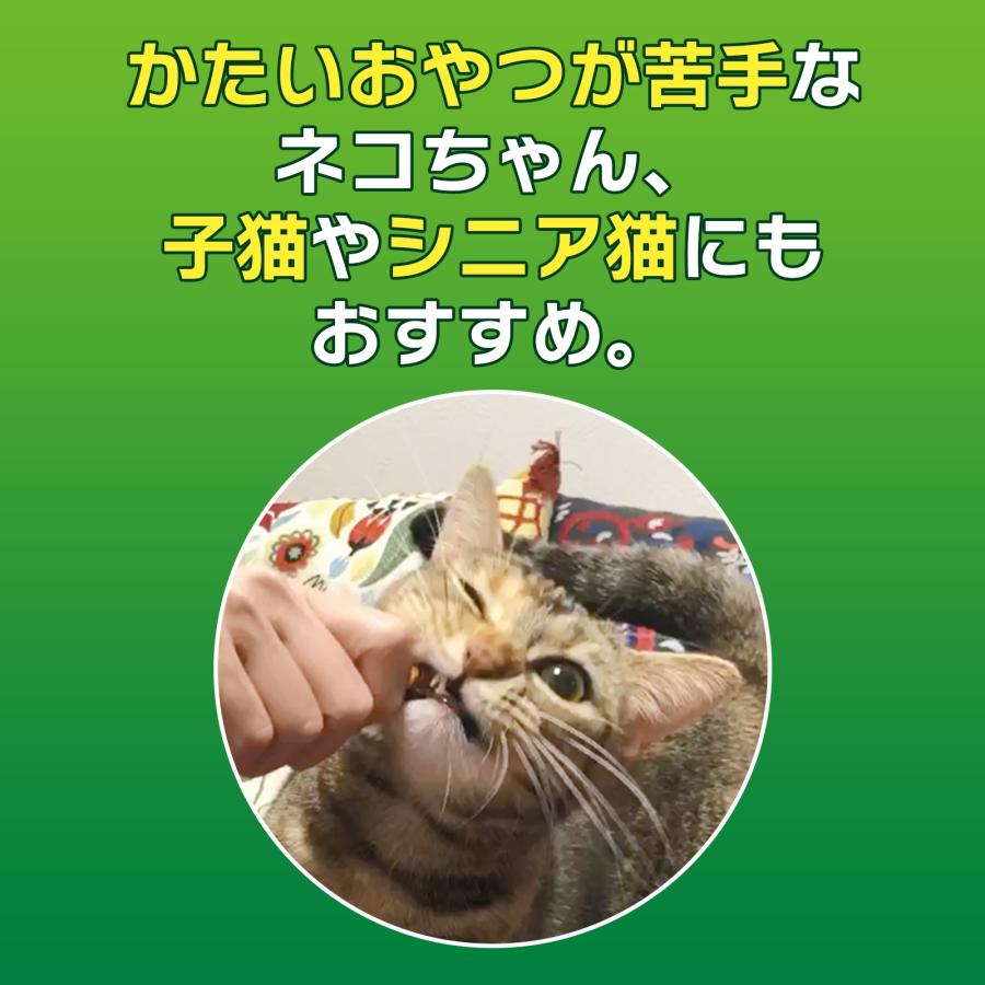 ライオン　ペットキッス　ＰＥＴＫＩＳＳ　ネコちゃんの歯みがきおやつ　やわらか　まぐろ味　１４ｇ　猫　歯磨き｜chanet｜04