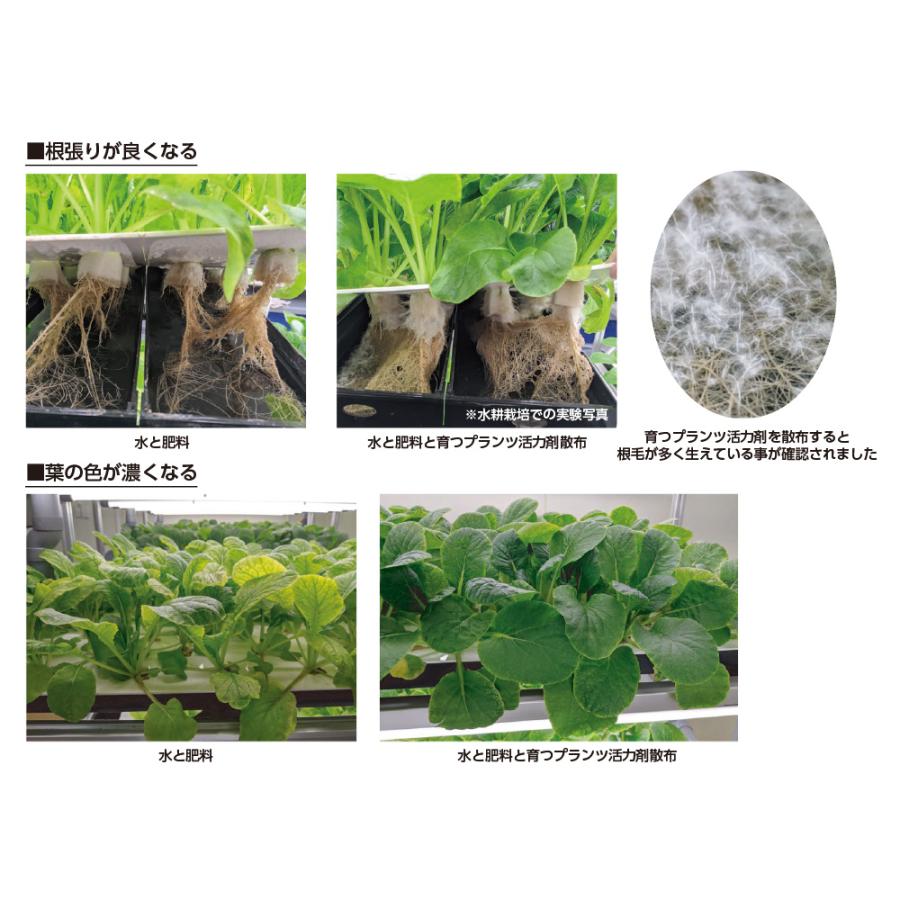 コトブキ工芸　育つプランツ　活力剤　１Ｌ　テラリウム　肥料　植物｜chanet｜05