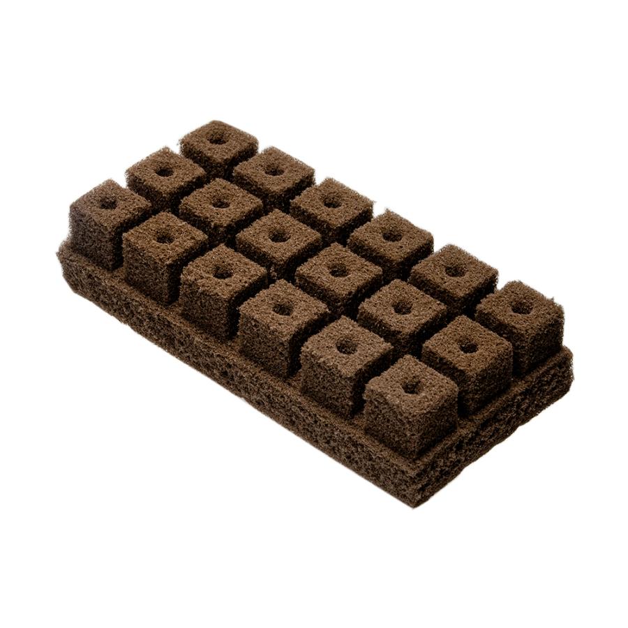 FaB　オアシスでの休憩 / Oasis Respite　プロモ　3枚セット Oasis Respite プロモ 3枚