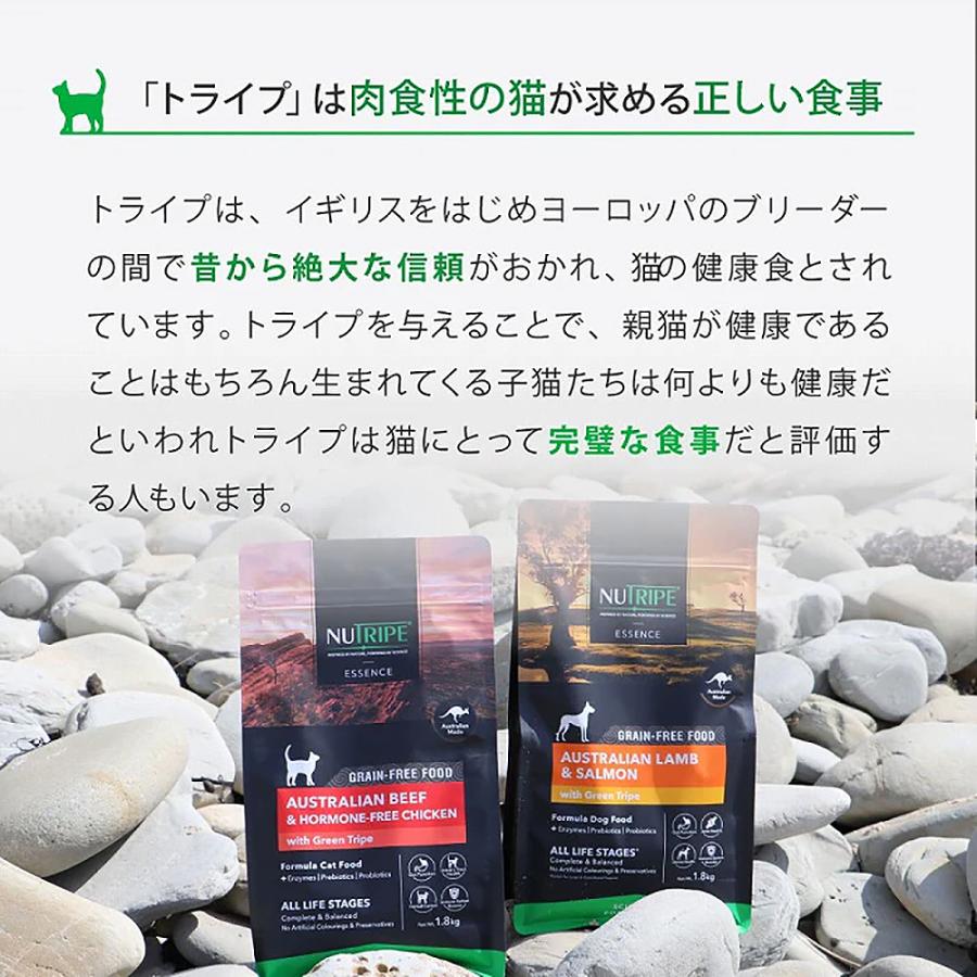 ニュートライプ　ドライ　キャット　サーモン＆ホルモンフリーチキンＷｉｔｈグリーントライプ　６ｋｇ_4