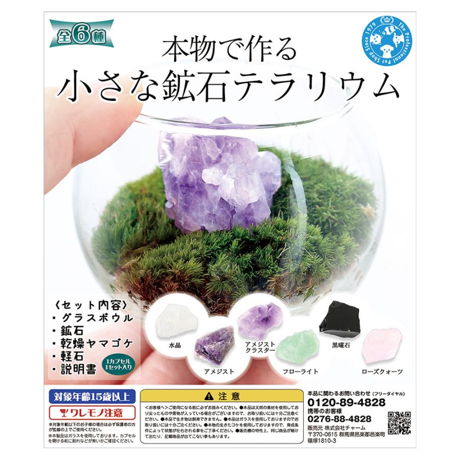 種類おまかせ　本物で作る　小さな鉱石テラリウム　カプセルトイ（Yahoo!・チャーム charm ヤフー店）