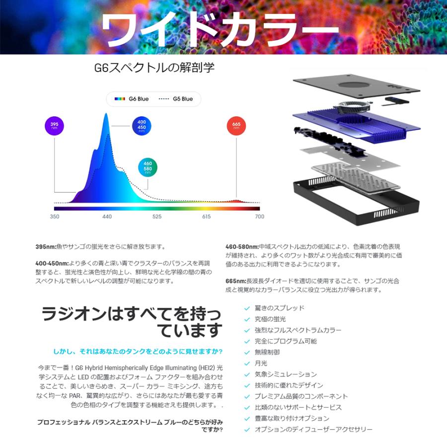 エコテックマリン Radion（ラディオン） G6 XR30 Blue