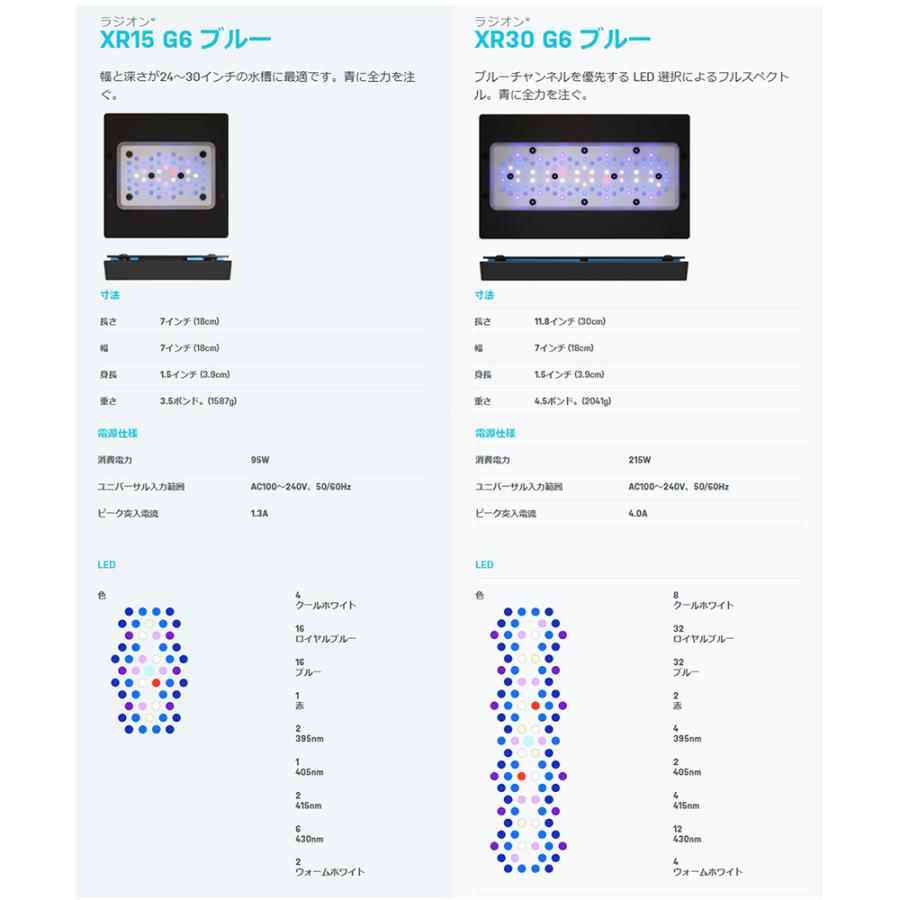 エコテックマリン Radion（ラディオン） G6 XR30 Blue