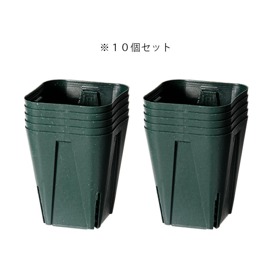 スリット鉢 カネヤ産業 EG−7．5cm MR モスグリーン 10個